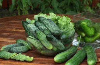 Как формировать огурцы