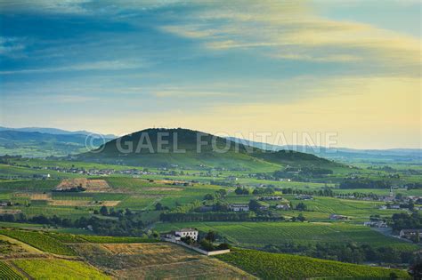 Photos Le Mont Brouilly Et Les Vignes Du Beaujolais Au Lever Du Jour