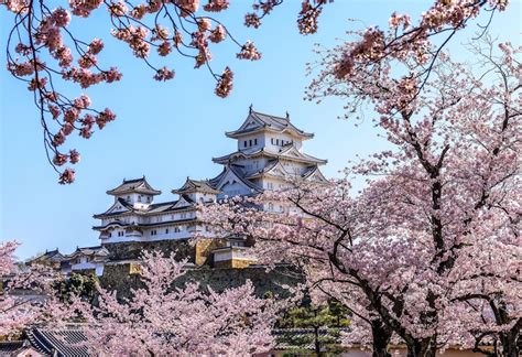 These Japanese Castles Are Best For Sakura Viewing Japan Forward