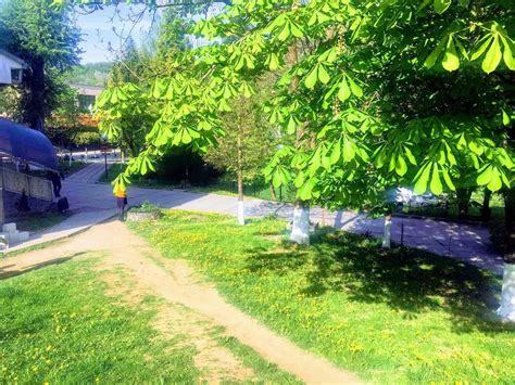 Фотогалерея - Санаторій "Поляна" - офіційний сайт