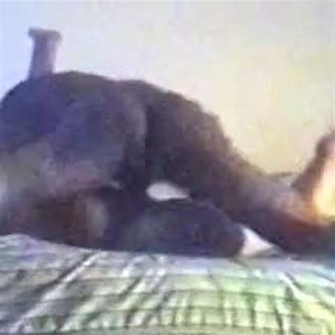 BBC Fucking A White Pussy Free Mobile Pussy Porn Video Fb XHamster