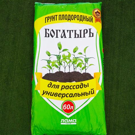 Грунт для рассады - рейтинг самых популярных среди садоводов