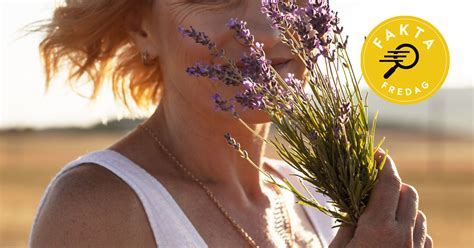 F Till Det I Sommar Knep F R B Ttre Sex Efter Bonnier Fakta