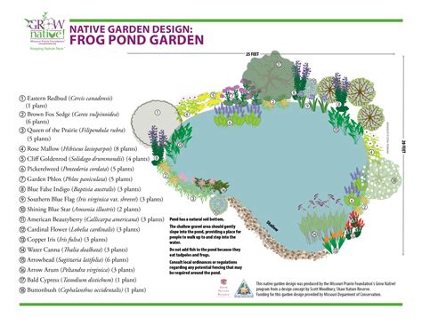 Frog Friendly Pond Habitats - BackyardSwimPonds
