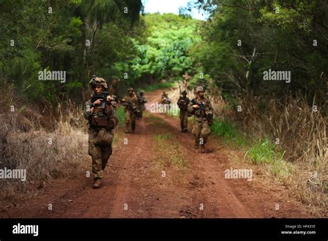 Us Marine Corps Infantry Squad Leaders Assigned To School Of Infantry