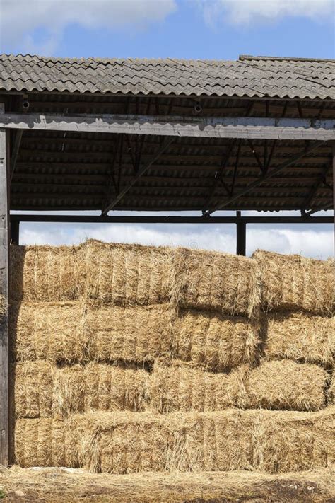 Straw Stacks Stock Image Image Of Grain Barn Harvest 125130099