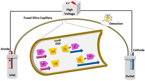 Molecules Free Full Text Chiral Capillary Electrokinetic