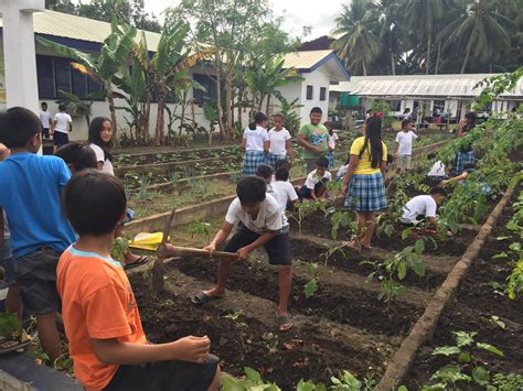 Gardening As Valid School Subject Greenfinity Foundation