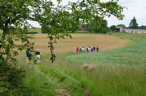 Balade Dans Les Champs Capraislerm Flickr