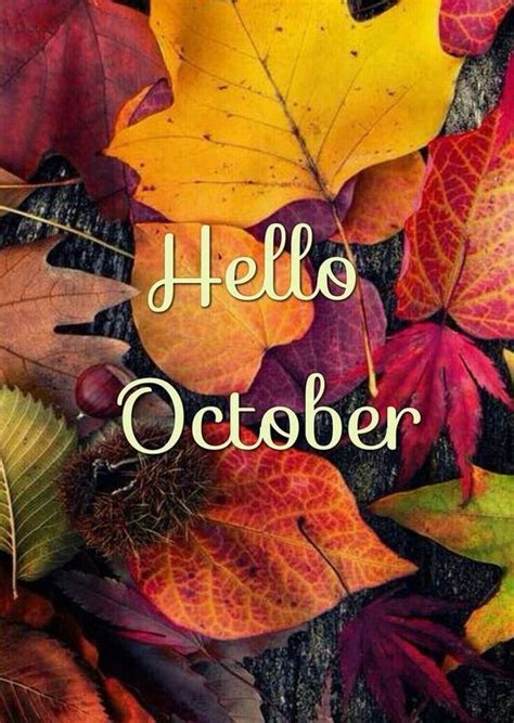 60 Hello October Images Pictures Quotes And Pics 2023 Hello