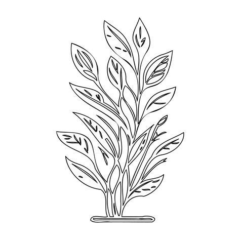 flower plant outline illustration sketch 48320854 Vector Art at Vecteezy