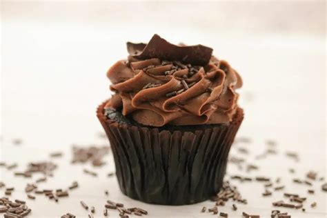 9 Indulgent Chocolate Cupcake Recipes By Martha Stewart Women Chefs
