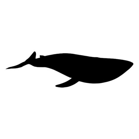 Premium Vector Whale Silhouette Vector Black Color On White Background