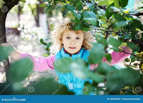 Portrait De Petite Fille Blonde Mignonne Photo Stock Image Du Occasionnel Preschooler 46458994