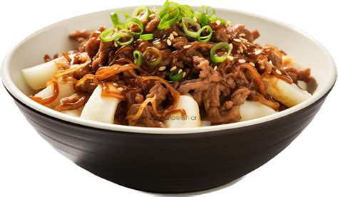 gyudon   png