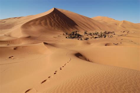 The Sahara Desert Has Grown 10 Percent Since 1920 - Yale E360