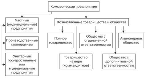 КЛАССИФИКАЦИЯ СУБЪЕКТОВ КОММЕРЧЕСКОЙ ДЕЯТЕЛЬНОСТИ, ОРГАНИЗАЦИОННО ...