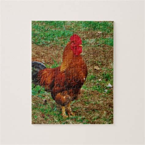 Rooster Jigsaw Puzzle Zazzle