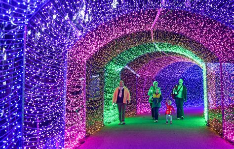 Winter WonderLights coming to UGA’s State Botanical Garden for the