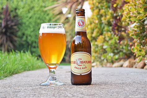 Top 10 Best Pale Ale Beer Brands To Try in 2023