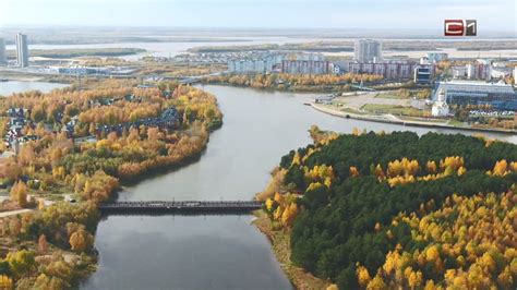 Новости Сургута - СургутИнформТВ - SiTV.RU