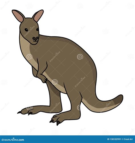 Wallaby Vector Illustration Stock Vector Illustration Of Artistic