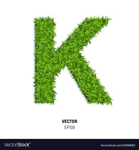 Green grass texture Royalty Free Vector Image - VectorStock