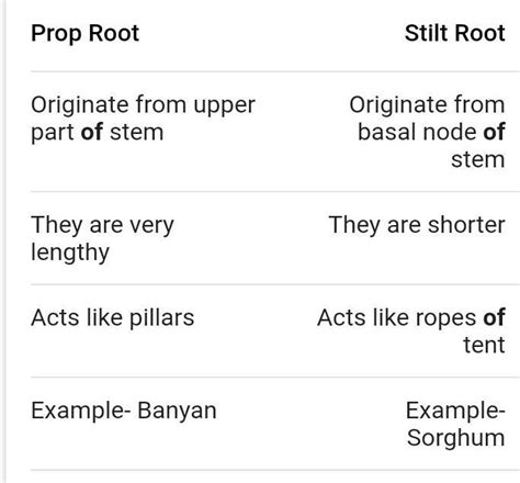 Stiltprop Roots