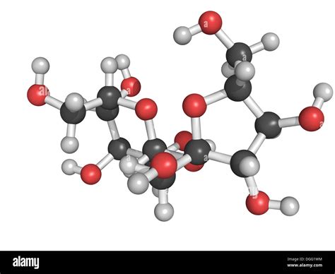 Structure Of Sucrose