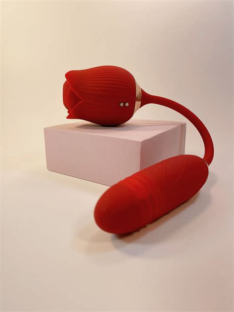 VIBRADOR ROSE PRO SUGADOR BULLET VAI E VEM Vênus Sex Shop