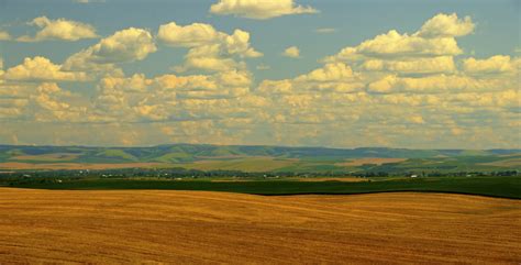 Looking From West Of Walla Walla Back Over Fallow Wheat Fi Flickr