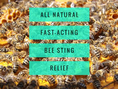 All Natural Fast Acting Bee Sting Relief - JessHappy2BeeMe put l