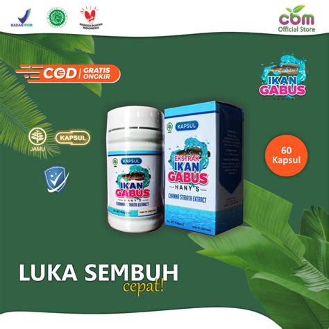 Jual Kapsul Serbuk Ikan Gabus Kutuk Untuk Luka Cepat Sembuh Kapsul