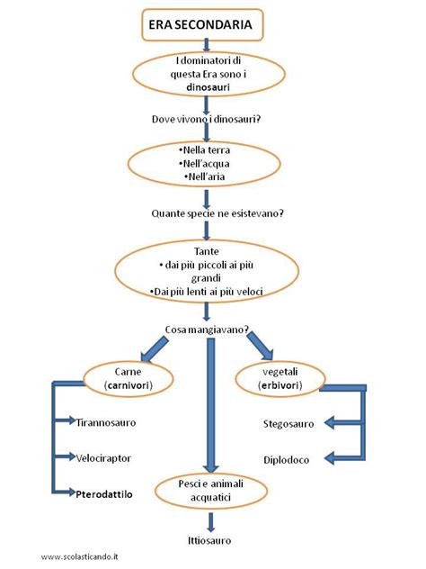 Classe Terza Storia Lera Secondaria E I Dinosauri Schede
