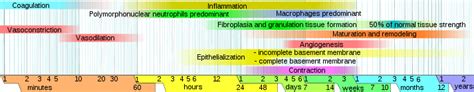 wound healing  assessment clinical procedures  safer