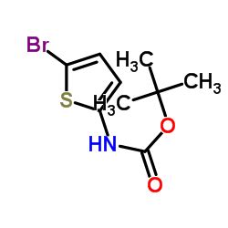 CAS 943321 89 9 2 Methyl 2 Propanyl 5 Bromo 2 Thienyl Carbamate