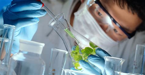 Биофотоны ХуаШен, что такое, отзывы, принцип действия