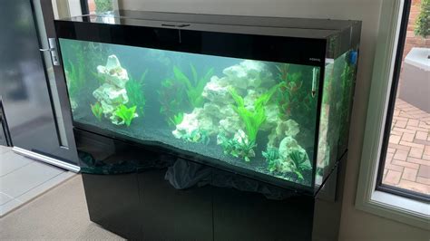 Setting Up A Very Sexy Aquael Glossy Aquarium Youtube