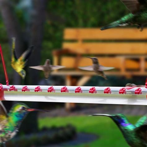 Hummingbird Feeder Tube | Hummingbird Feeding Tubes