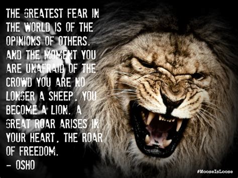 Lions Roar Quote Osho Michelle Cross