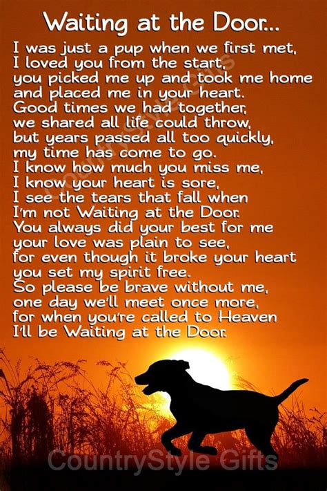 Pet Quotes Dog Dog Quotes Love Animal Quotes Dog Loss Quotes