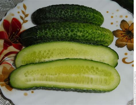 Огурец 'Сладкий король' F1: описание сорта, выращивание и уход, фотографии