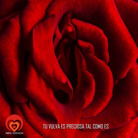 SEXUALIDAD SEX COACH Tu Vulva