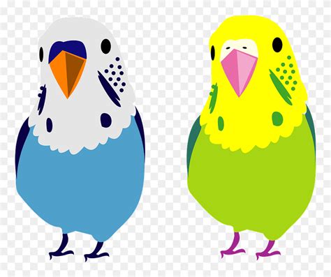 Budgerigar Pet Parakeet Clipart Dibujos De Periquitos Australianos