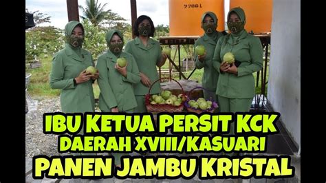 Yonzipur Ppa Ibu Ketua Persit Kck Daerah Xviii Kasuari Panen Jambu