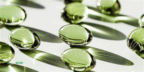 Прием на Пробиотици - какво трябва да знаете? - Здравитал