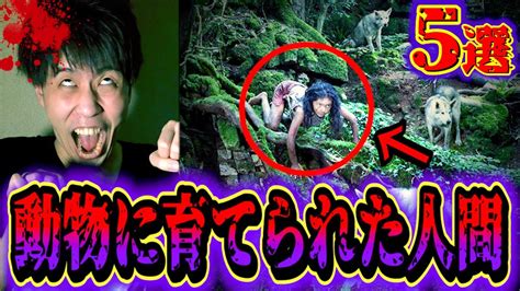 【都市伝説】動物に育てられた子供たち5選。 Youtube