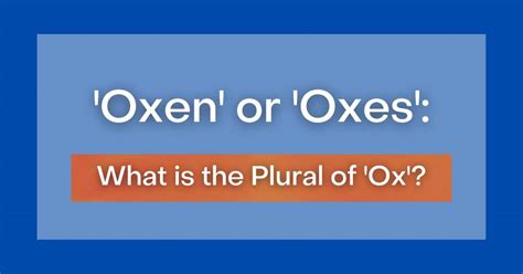 'Oxen' or 'Oxes': What is the Plural of 'Ox'?