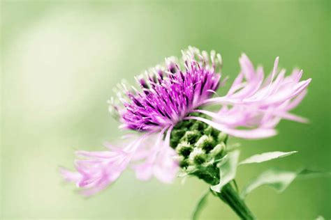 Dream About Death? An Energy Healer Explains What It Could Mean