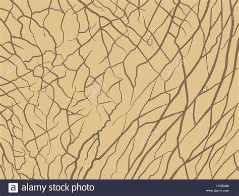 vector illustration elephant pattern stock vector image art alamy